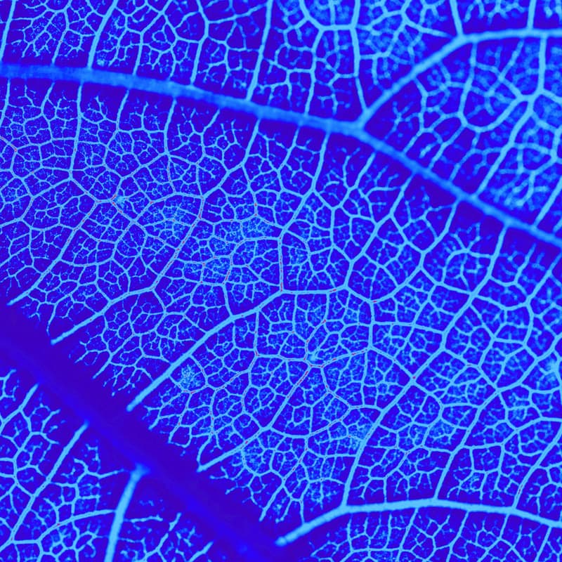 Cover Image for Sustainable Biotech Hubs