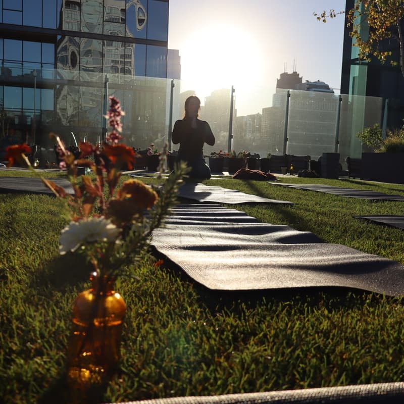Cover Image for Sunrise Yoga with Verdant Place