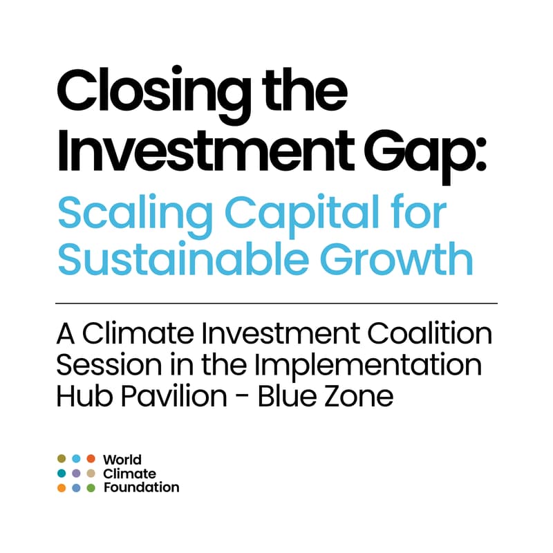 Cover Image for Closing the Investment Gap: Scaling Capital for Sustainable Growth