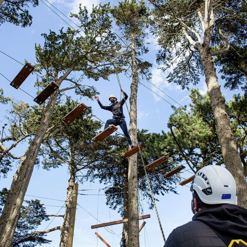 Cover Image for High Ropes Adventure Day at McClaren Park