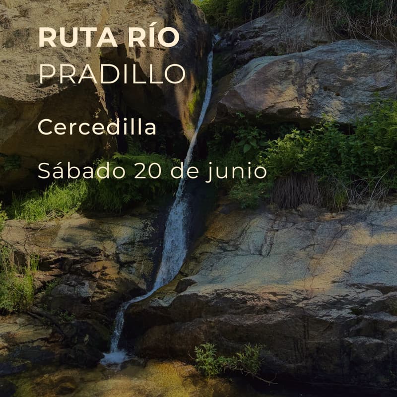 Cover Image for Ruta Río Pradillo