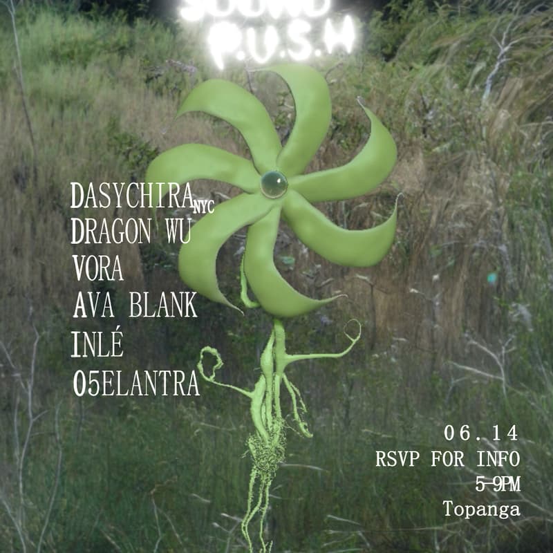 Cover Image for DASYCHIRA/DRAGON WU/EON/VORA/INLÉ/05ELANTRA IN TOPANGA