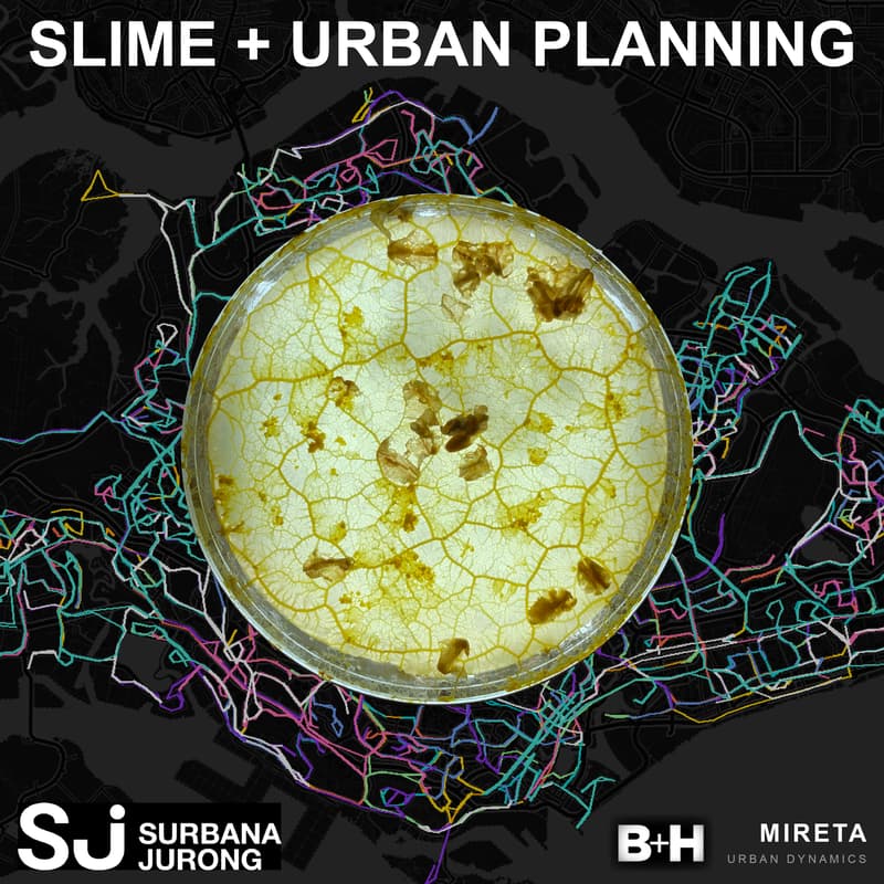 Cover Image for Bio-inspired Intelligence for Design & Planning