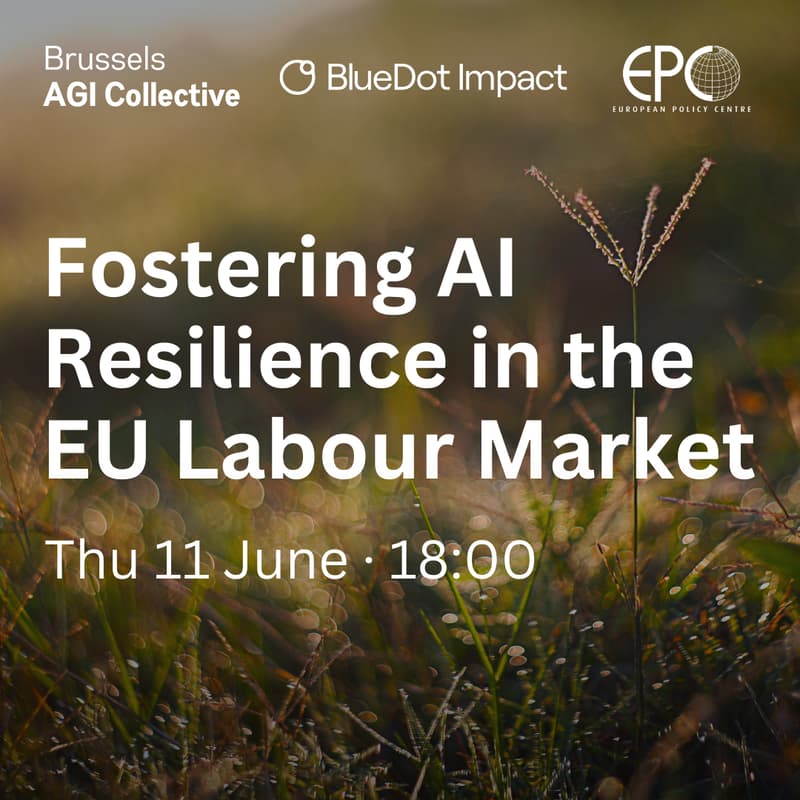 Cover Image for Fostering AI Resilience in the EU Labour Market (Brussels AGI Collective)