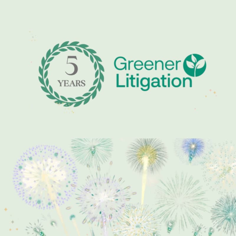 Cover Image for 5 years on: Sustainable practice in a changing profession