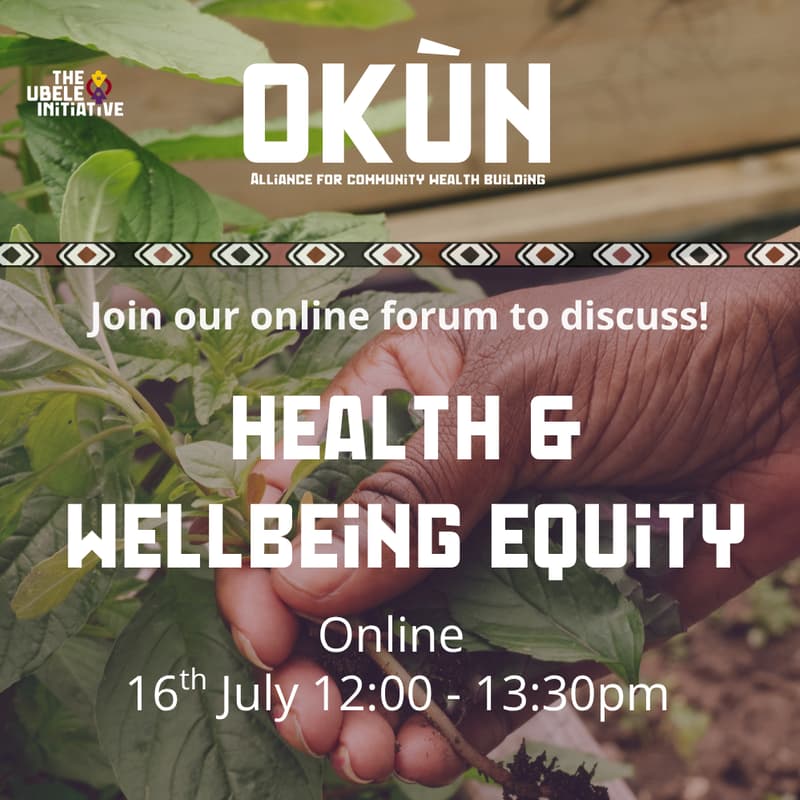 Cover Image for Okun online forum: Health & Wellbeing Equity