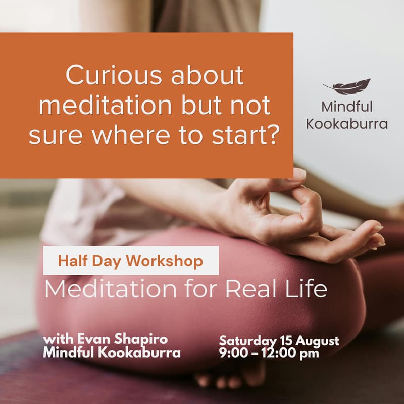 Cover Image for Meditation for Real Life