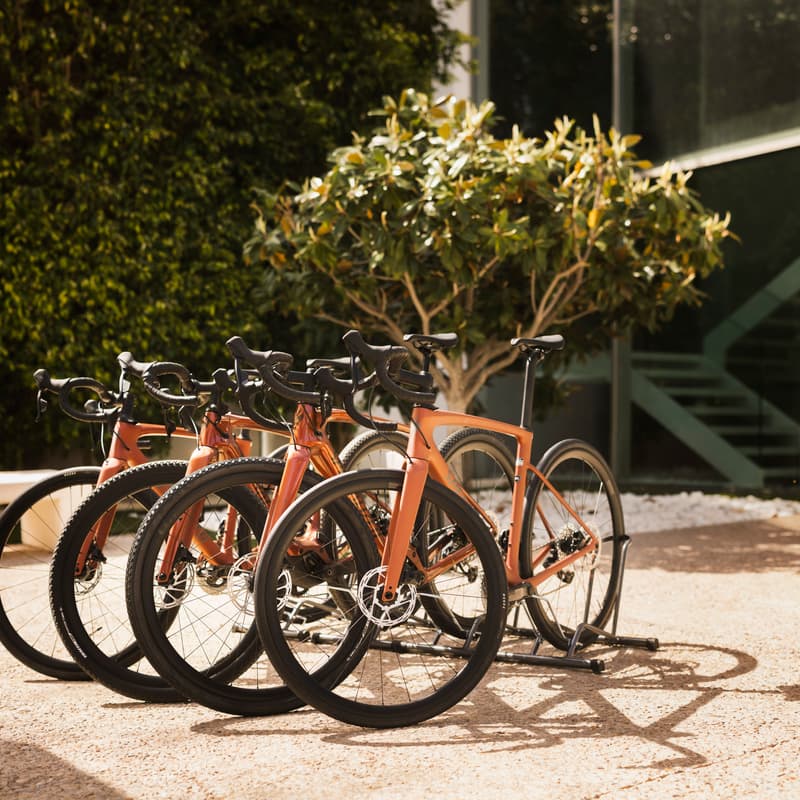 Cover Image for Rutas en Bicicleta