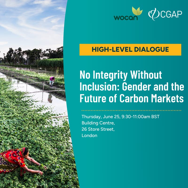 Cover Image for No Integrity Without Inclusion: Gender and the Future of Carbon Markets