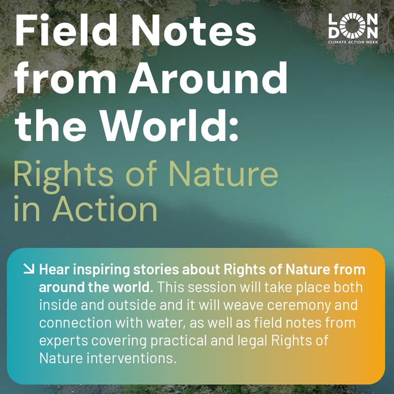 Cover Image for Field Notes from Around the world: Rights of Nature in Action
