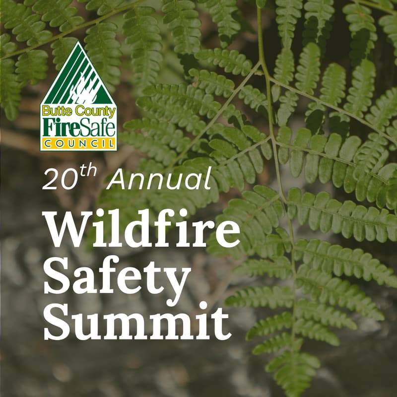 Cover Image for BCFSC's 20th Annual Wildfire Safety Summit