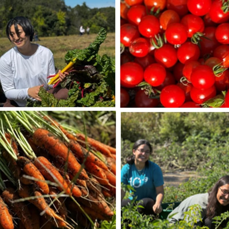 Cover Image for Hannan Farm Volunteer Party