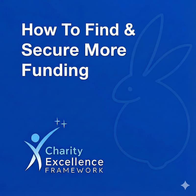 Cover Image for Charity Excellence - How to Find and Secure Funding
