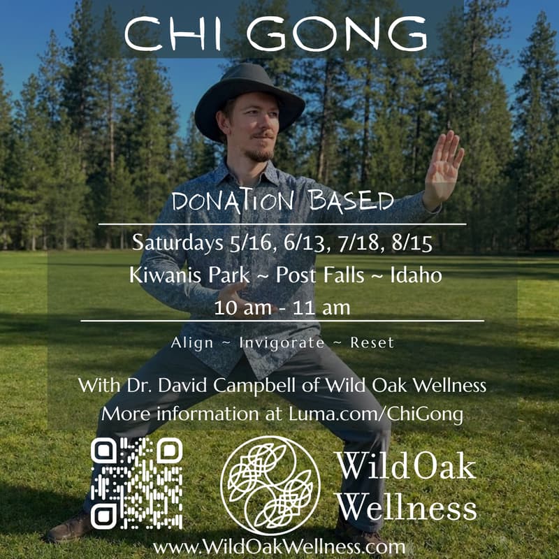 Cover Image for Chi Gong on Saturday June 13, 2026