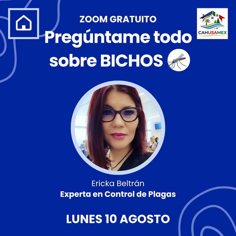 Cover Image for Bichos y plagas en tu alojamiento: Pregúntale todo a los expertos