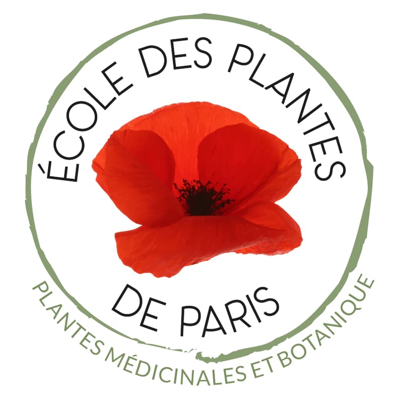 Cover Image for Portes ouvertes