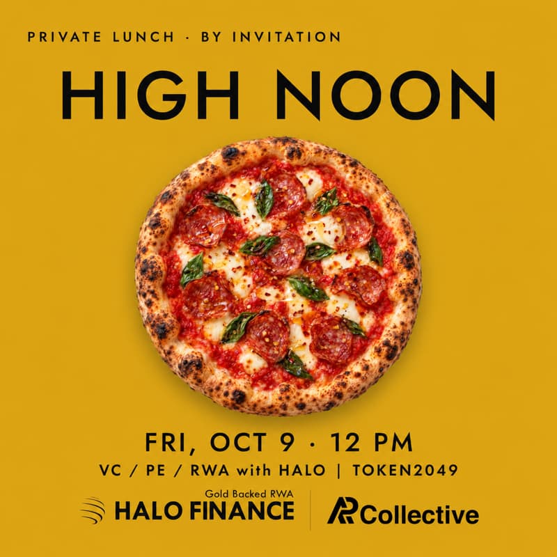 Cover Image for HIGH NOON · VC / PE / RWA- HALO @TOKEN2049