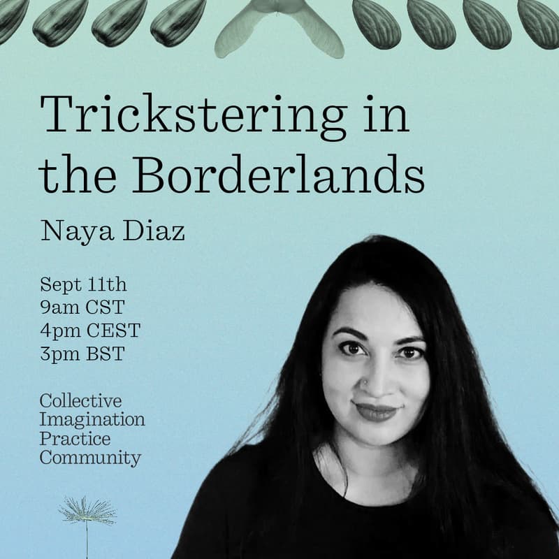 Cover Image for Collective Imagination Seed Swap: Trickstering in the Borderlands