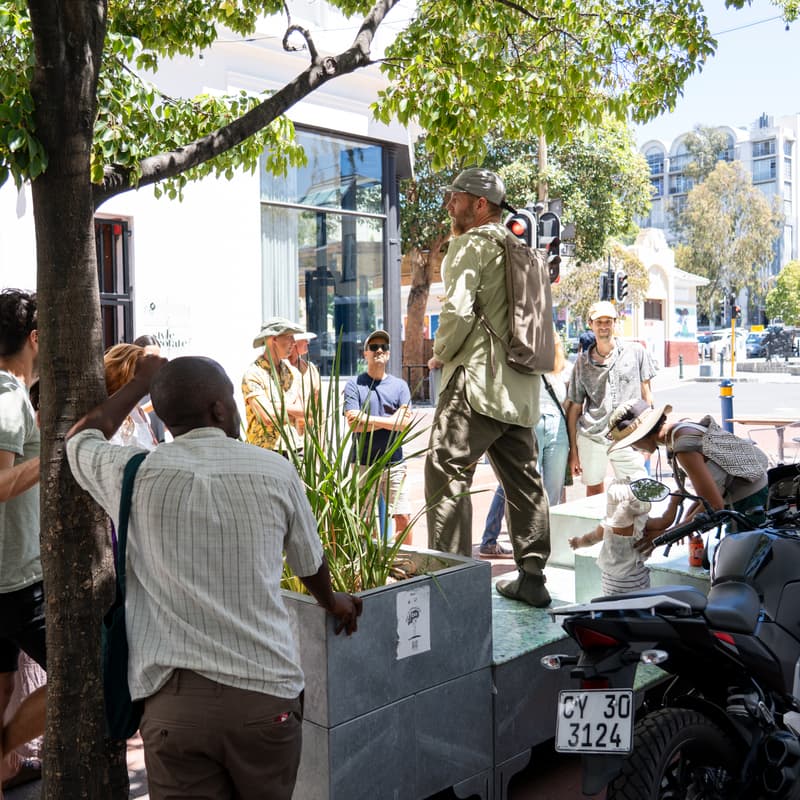 Cover Image for Inner City Voices Greening Edition