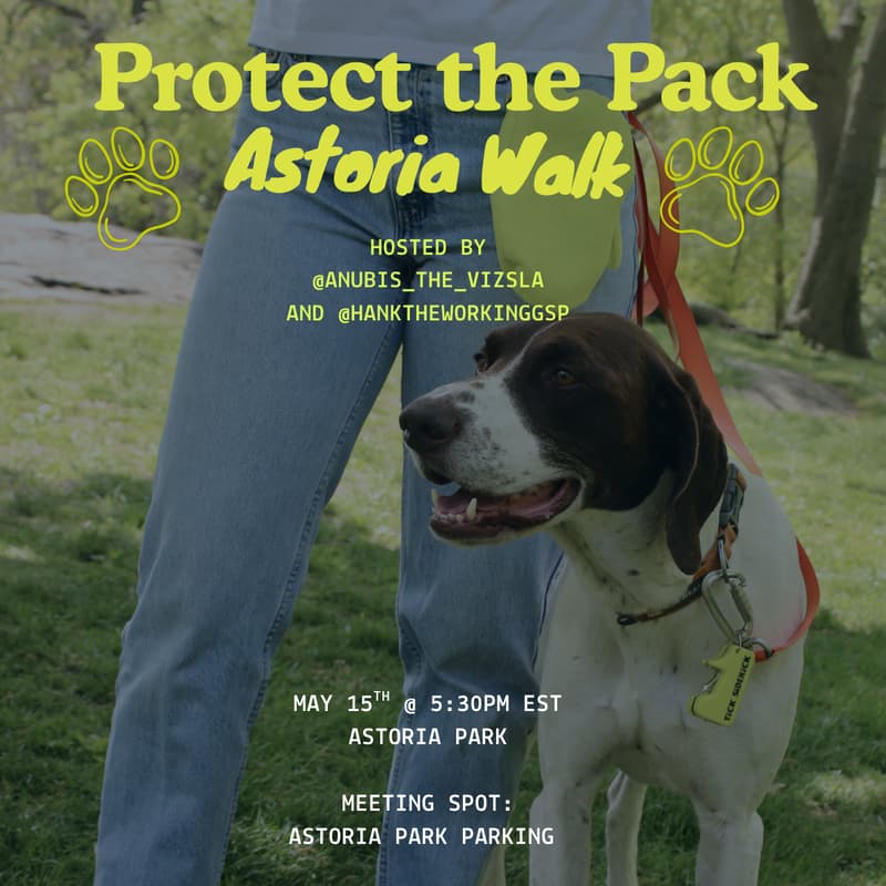 Cover Image for Protect the Pack Astoria Dog Walk