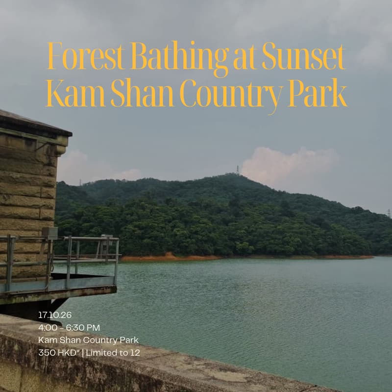 Cover Image for Forest Bathing at Sunset: Kam Shan Country Park