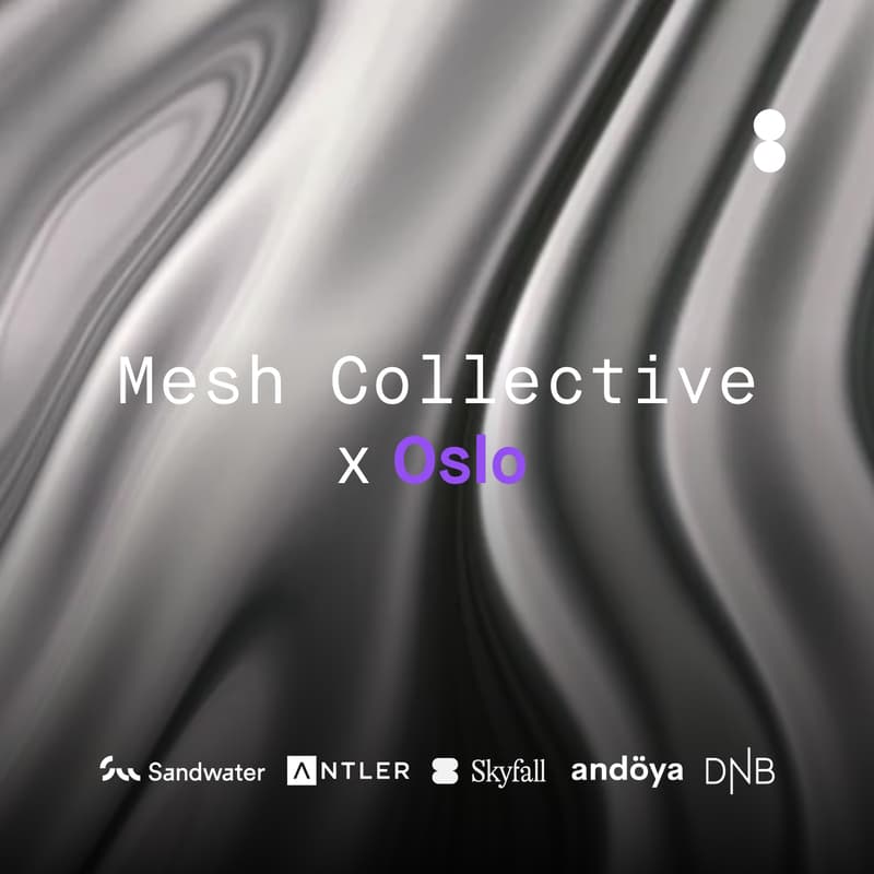 Cover Image for Mesh Collective X Oslo