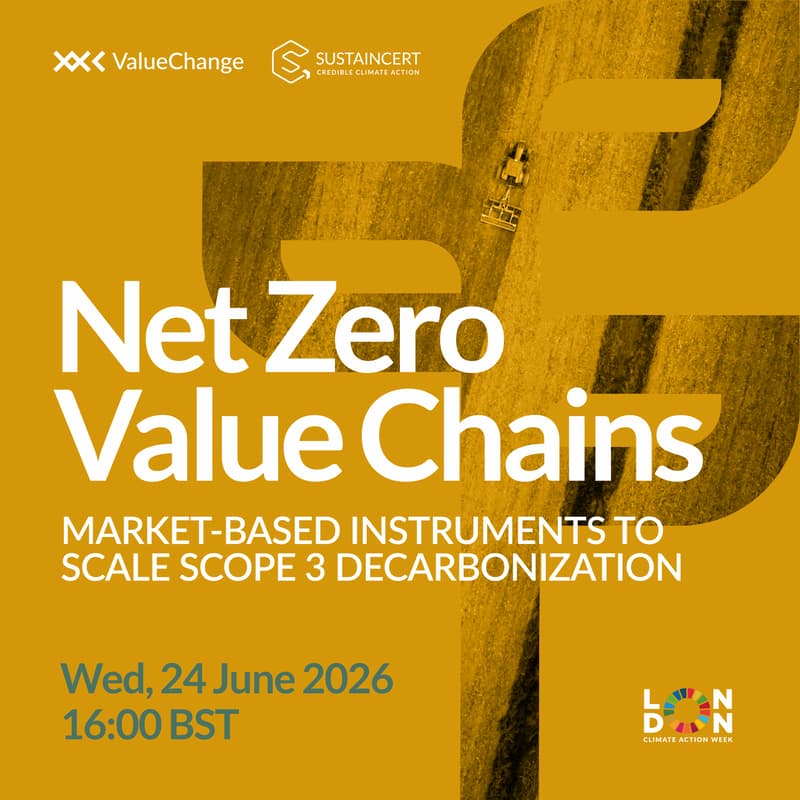 Cover Image for Net Zero Value Chains - Market-Based Instruments to Scale Scope 3 Decarbonization