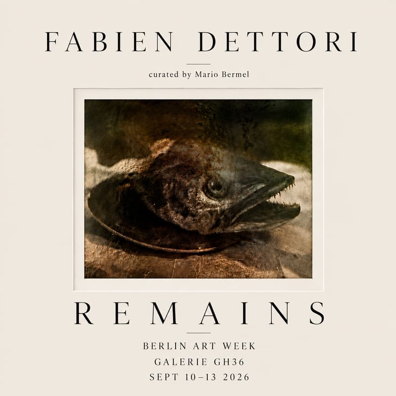 Cover Image for FABIEN DETTORI - vernissage