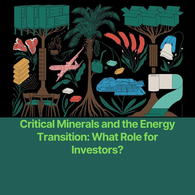 Cover Image for Critical Minerals and the Energy Transition: What Role for Investors?