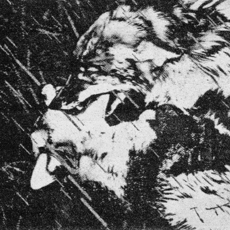 Cover Image for Survivalist: Riso Wolf Edition - A StyleFrame Workshop with Jeffery Lawson