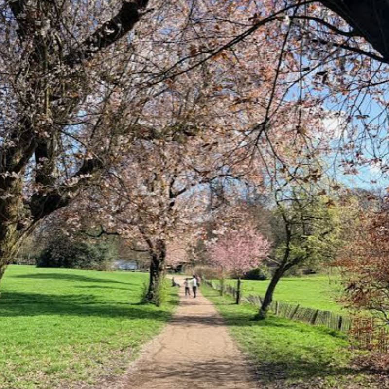 Cover Image for Vegan Ramble and Coffee Morning