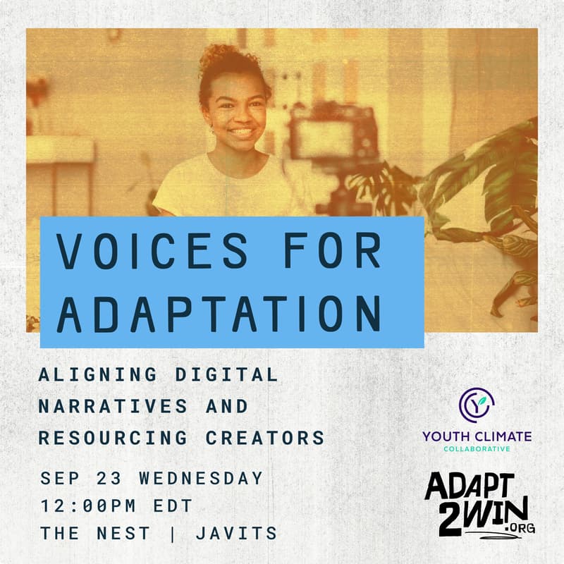 Cover Image for Voices for Adaptation: Aligning Digital Narratives and Resourcing Creators