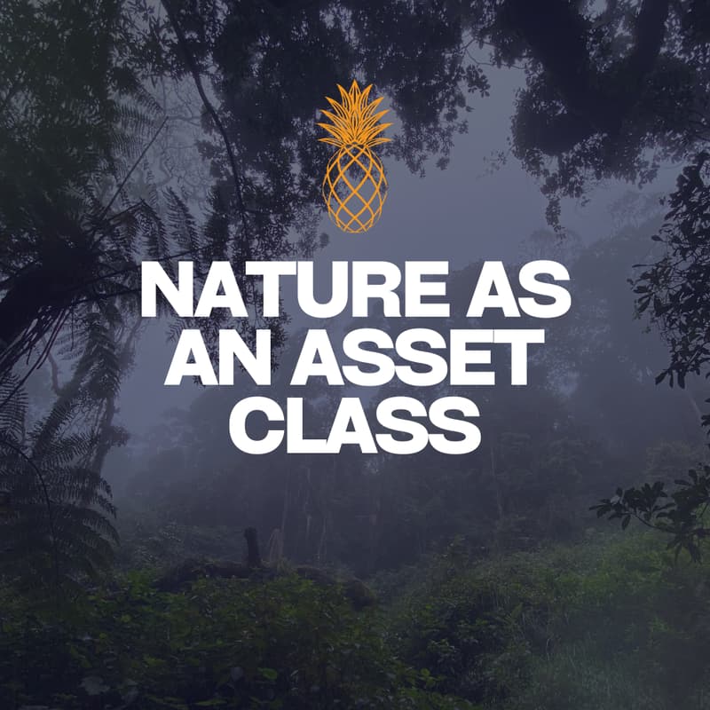 Cover Image for Circle: Nature as an Asset Class