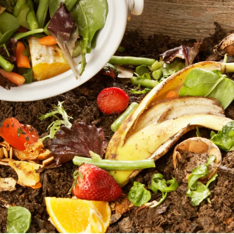 Cover Image for Compostage pour un jardin au top !