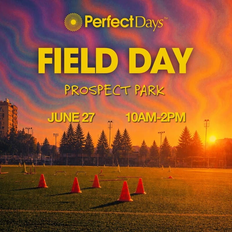 Cover Image for Perfect Days: Field Day