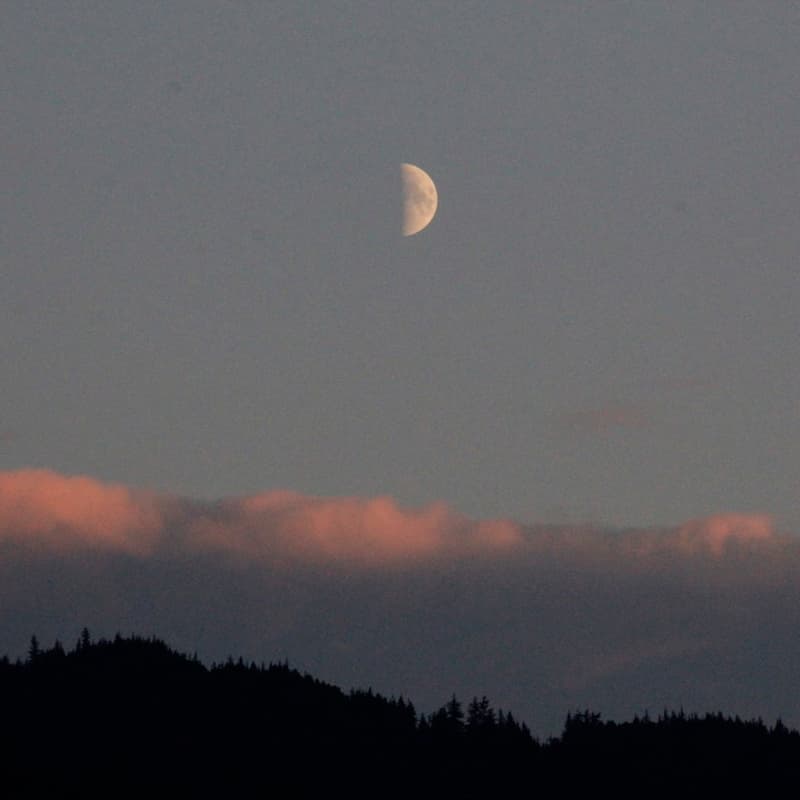 Cover Image for Meet Your MoonRise