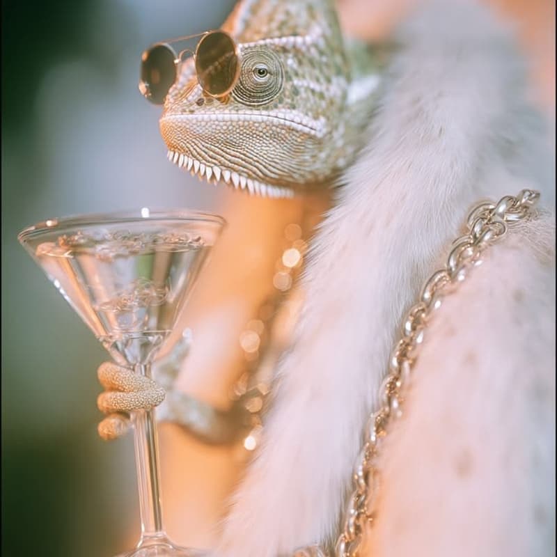 Cover Image for ✨🐾Housewarming: The Theme Is Party Animal!🐾✨