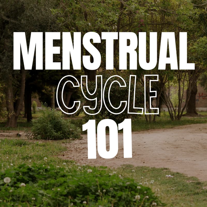 Cover Image for Menstrual Cycle 101