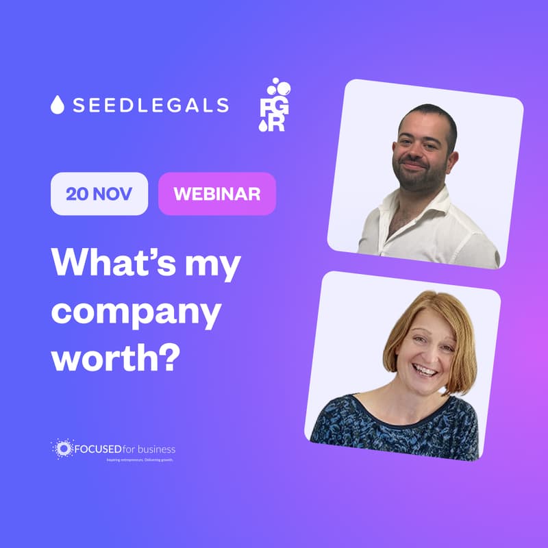 Cover Image for What's my company worth?