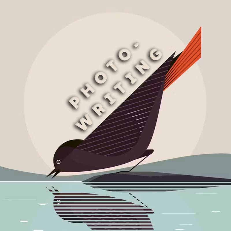 Cover Image for Photo-Writing #1