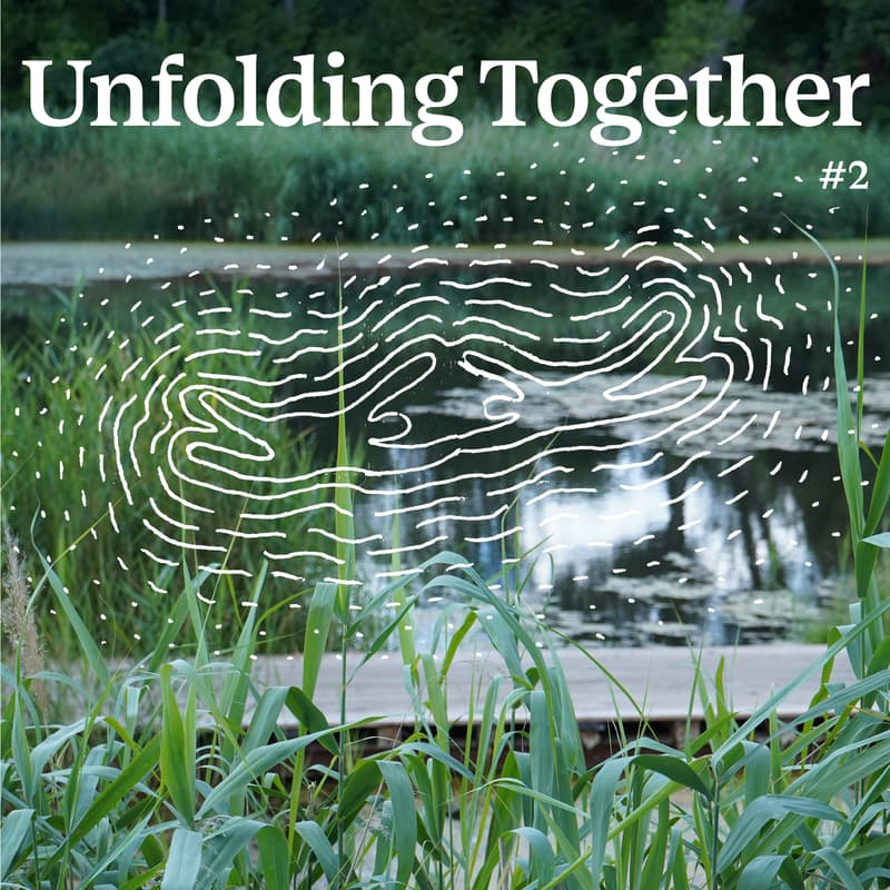 Cover Image for Unfolding Together