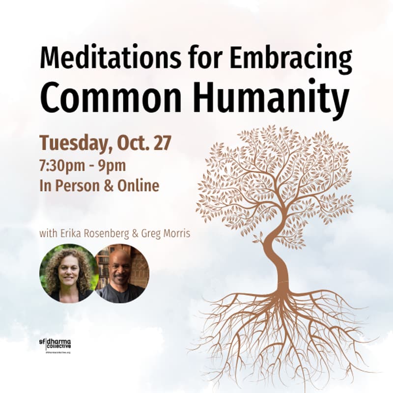 Cover Image for Meditations for Embracing Common Humanity