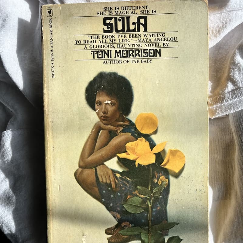 Cover Image for Sula - A Second Discussion