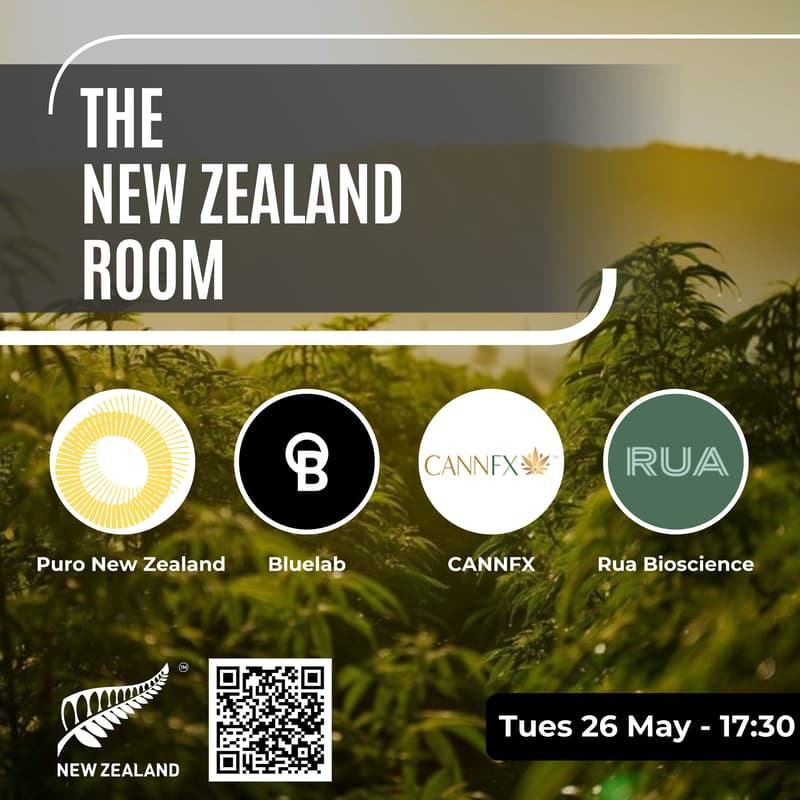 Cover Image for The New Zealand Room