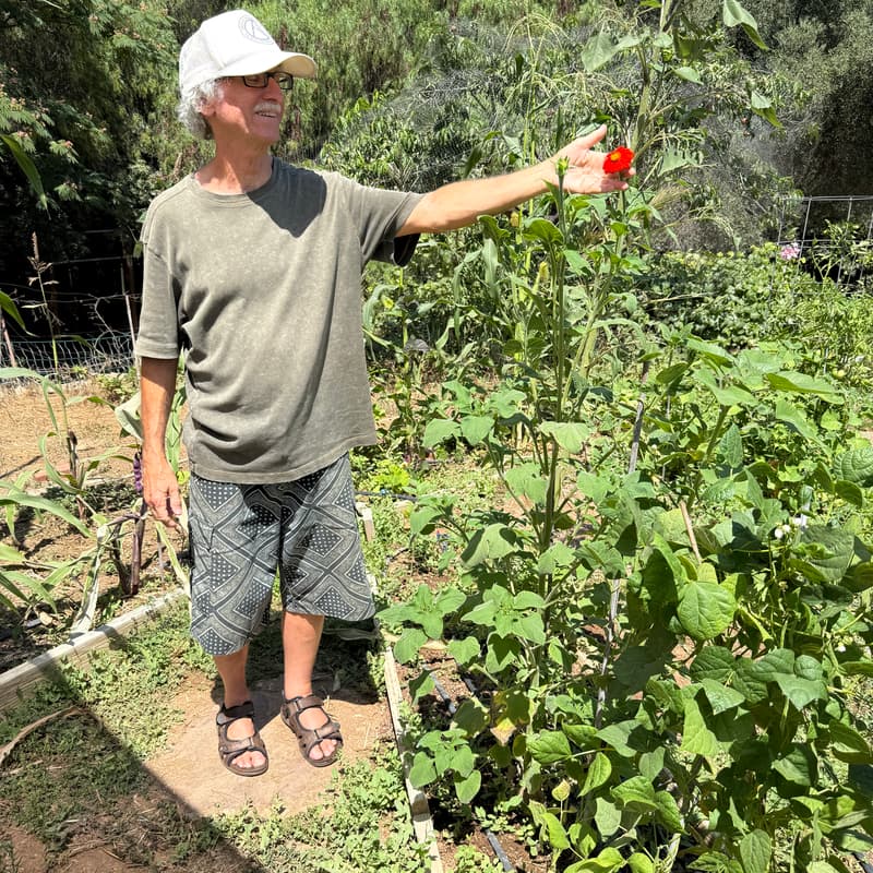 Cover Image for Organic Gardening & Regenerative Agriculture