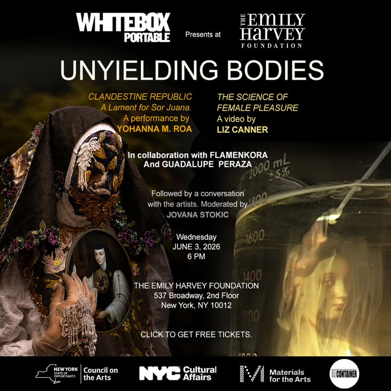 Cover Image for UNYIELDING BODIES