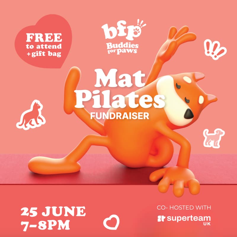 Cover Image for Buddies for Paws Free Pilates Class