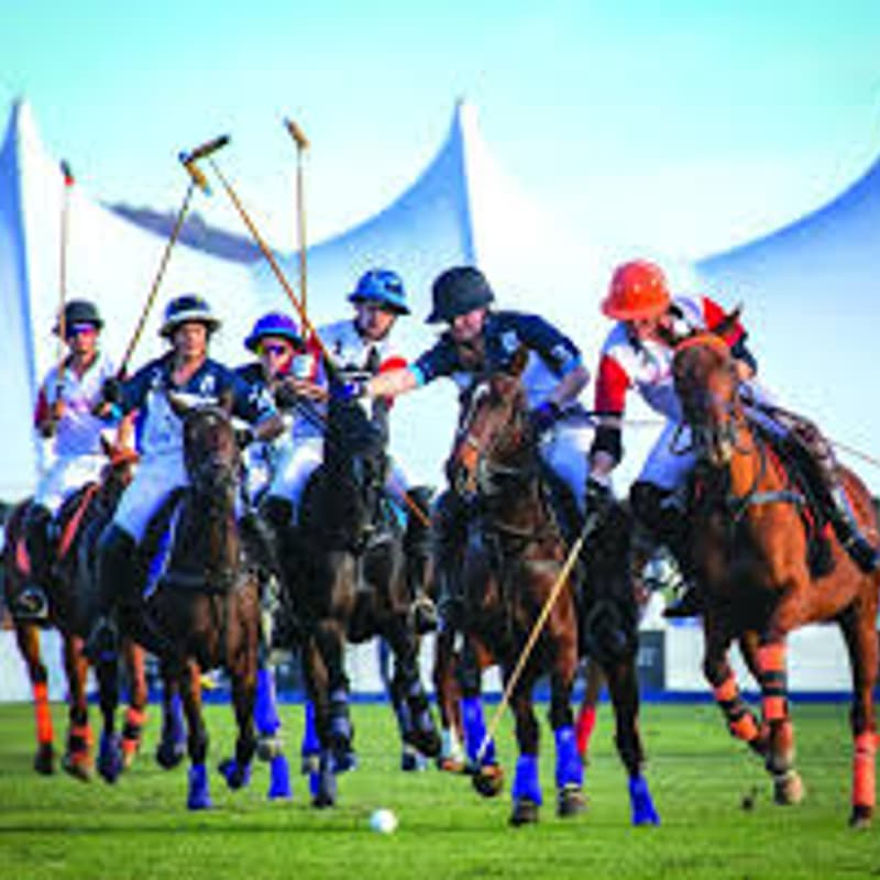 Cover Image for Bentley Scottsdale Polo