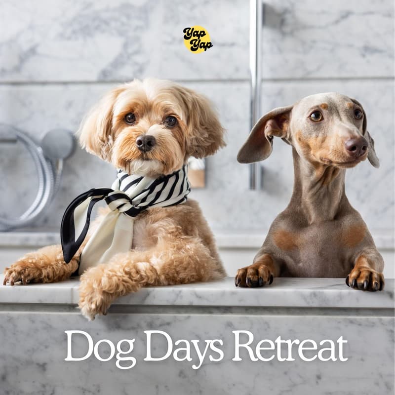 Cover Image for Dog Days Retreat