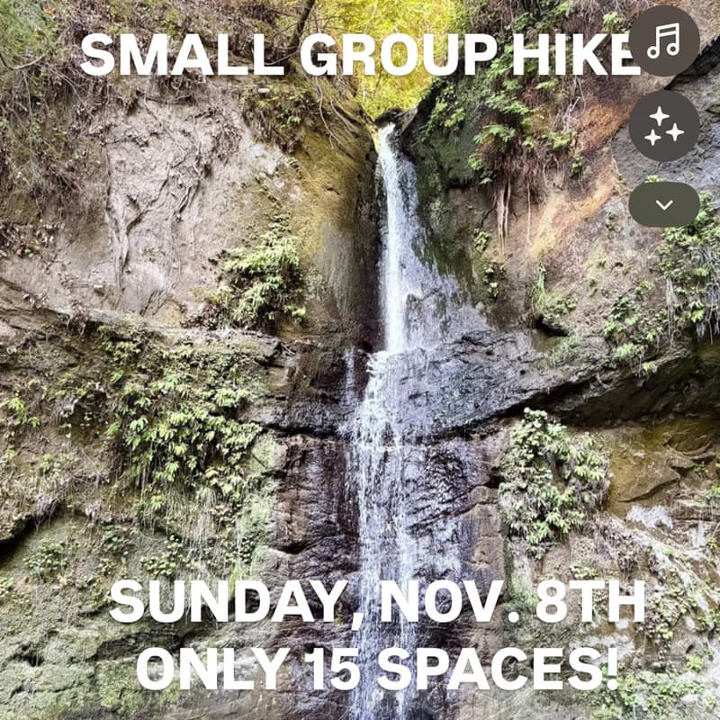 Cover Image for SMALL GROUP HIKE MAPLE FALLS
